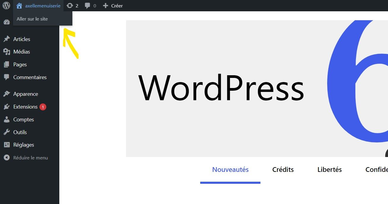 Prévisualiser site entier WordPress.jpg